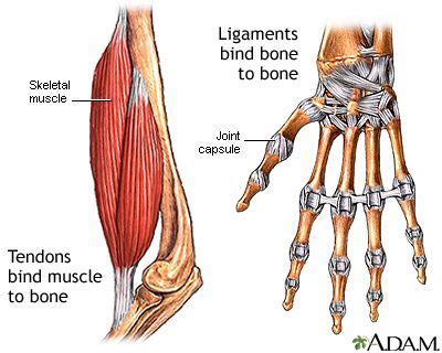 alemia|Anemia: MedlinePlus Medical Encyclopedia